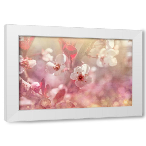 Gypsy Cherry 01 White Modern Wood Framed Art Print by LightBoxJournal