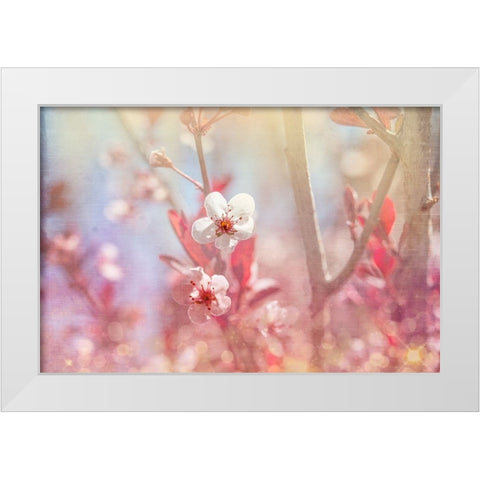 Gypsy Cherry 03 White Modern Wood Framed Art Print by LightBoxJournal