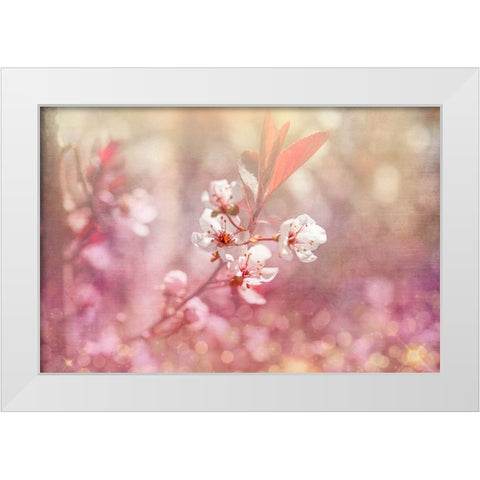 Gypsy Cherry 04 White Modern Wood Framed Art Print by LightBoxJournal