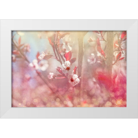 Gypsy Cherry 05 White Modern Wood Framed Art Print by LightBoxJournal