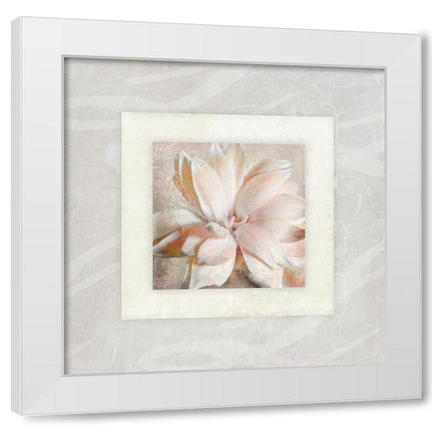 Pink Ivory Portrait 01 White Modern Wood Framed Art Print by LightBoxJournal