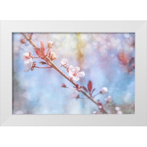 Spring Blooms 01 White Modern Wood Framed Art Print by LightBoxJournal