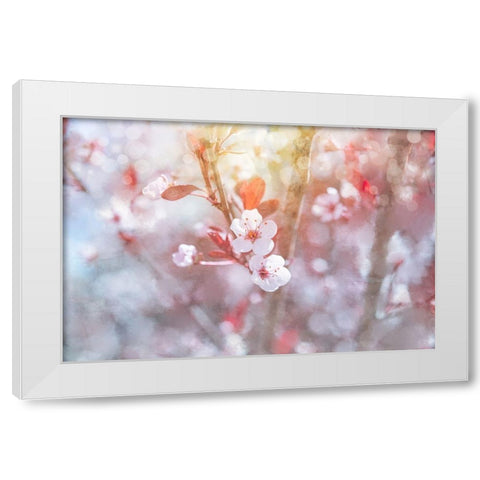 Spring Blooms 03 White Modern Wood Framed Art Print by LightBoxJournal