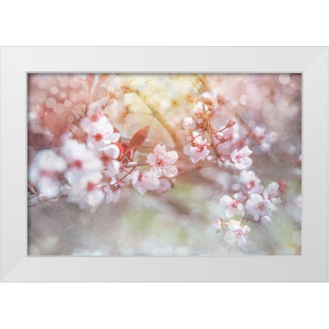 Spring Blooms 04 White Modern Wood Framed Art Print by LightBoxJournal