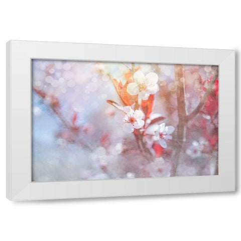 Spring Blooms 05 White Modern Wood Framed Art Print by LightBoxJournal
