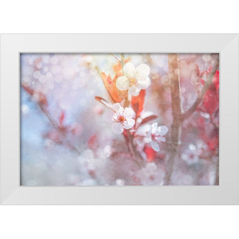 Spring Blooms 05 White Modern Wood Framed Art Print by LightBoxJournal
