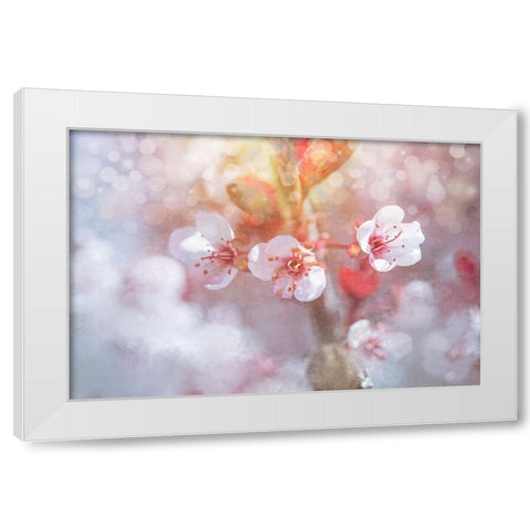 Spring Blooms 06 White Modern Wood Framed Art Print by LightBoxJournal