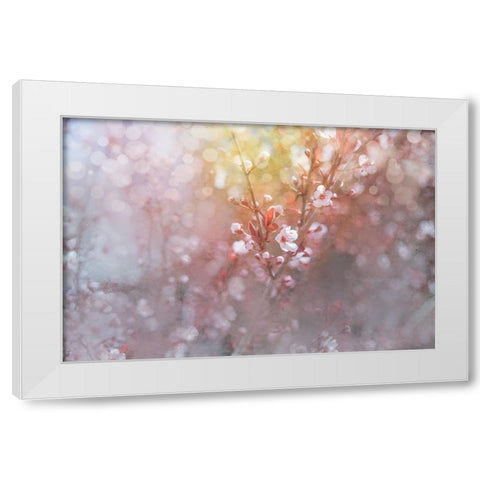 Spring Blooms 07 White Modern Wood Framed Art Print by LightBoxJournal