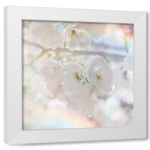 Apple Blossoms 01 White Modern Wood Framed Art Print by LightBoxJournal