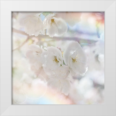Apple Blossoms 01 White Modern Wood Framed Art Print by LightBoxJournal