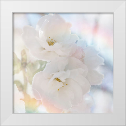 Apple Blossoms 02 White Modern Wood Framed Art Print by LightBoxJournal
