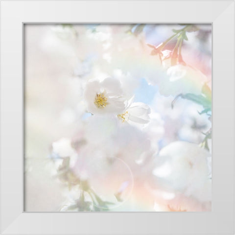 Apple Blossoms 03 White Modern Wood Framed Art Print by LightBoxJournal