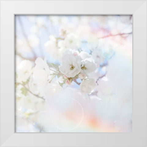 Apple Blossoms 04 White Modern Wood Framed Art Print by LightBoxJournal