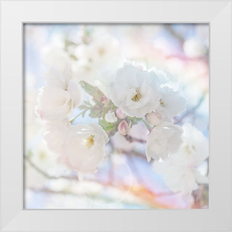 Apple Blossoms 05 White Modern Wood Framed Art Print by LightBoxJournal