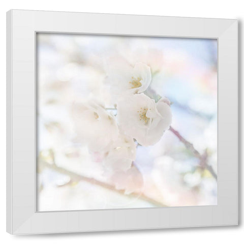 Apple Blossoms 06 White Modern Wood Framed Art Print by LightBoxJournal