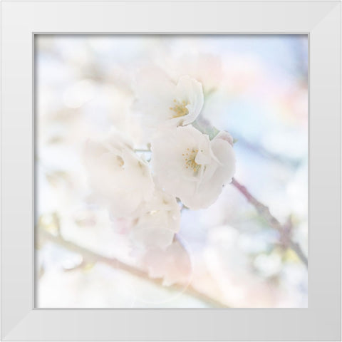 Apple Blossoms 06 White Modern Wood Framed Art Print by LightBoxJournal