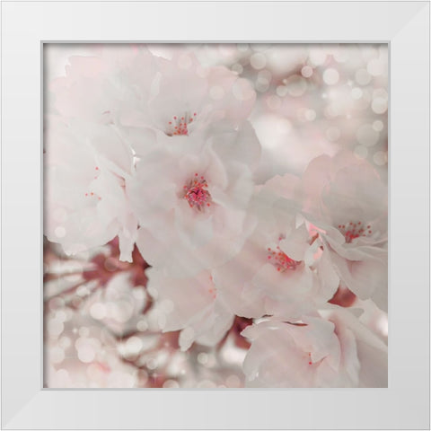 Pinky Blossom 1 White Modern Wood Framed Art Print by LightBoxJournal