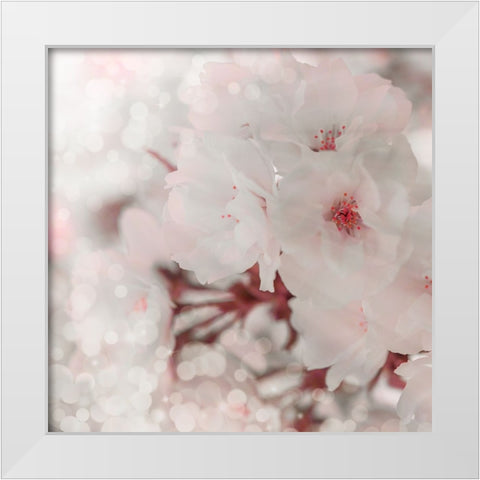 Pinky Blossom 2 White Modern Wood Framed Art Print by LightBoxJournal