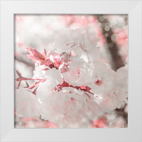 Pinky Blossom 3 White Modern Wood Framed Art Print by LightBoxJournal