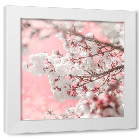 Pinky Blossom 5 White Modern Wood Framed Art Print by LightBoxJournal