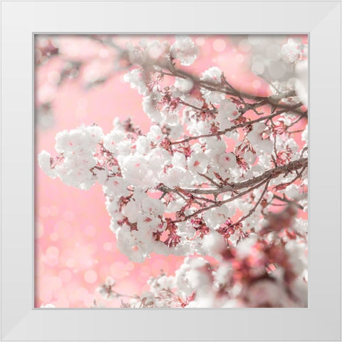 Pinky Blossom 5 White Modern Wood Framed Art Print by LightBoxJournal