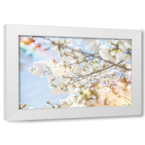 White Spring Blossoms 04 White Modern Wood Framed Art Print by LightBoxJournal
