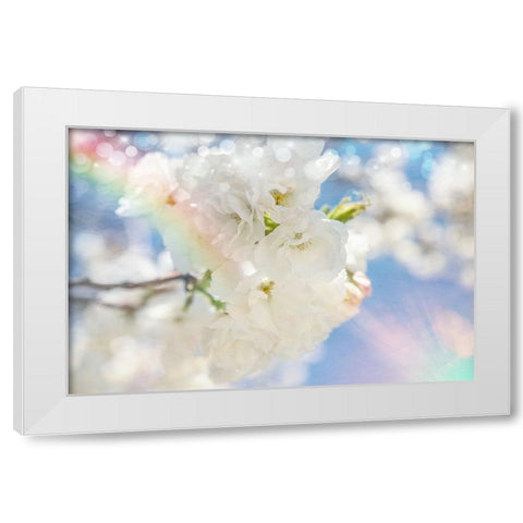 White Spring Blossoms 08 White Modern Wood Framed Art Print by LightBoxJournal