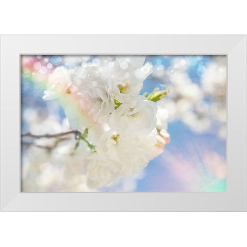 White Spring Blossoms 08 White Modern Wood Framed Art Print by LightBoxJournal
