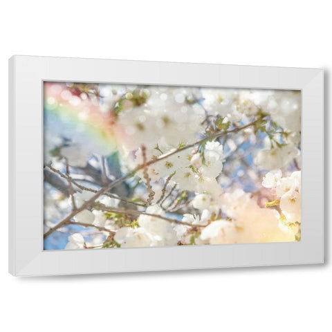 White Spring Blossoms 09 White Modern Wood Framed Art Print by LightBoxJournal