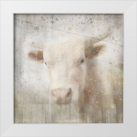 Antique Farm 07 White Modern Wood Framed Art Print by LightBoxJournal