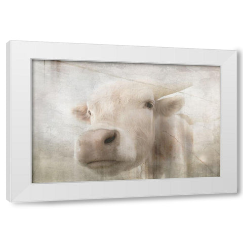 Antique Farm 18 White Modern Wood Framed Art Print by LightBoxJournal
