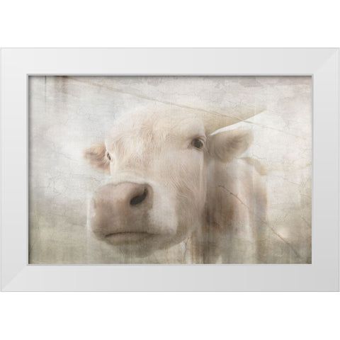 Antique Farm 18 White Modern Wood Framed Art Print by LightBoxJournal