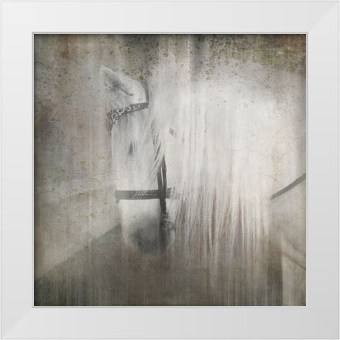 Antique Farm 21 White Modern Wood Framed Art Print by LightBoxJournal