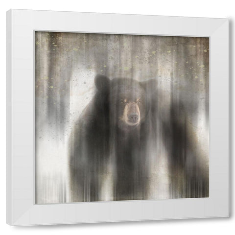 Antique Wildlife bear White Modern Wood Framed Art Print by LightBoxJournal