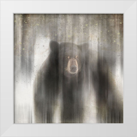Antique Wildlife bear White Modern Wood Framed Art Print by LightBoxJournal