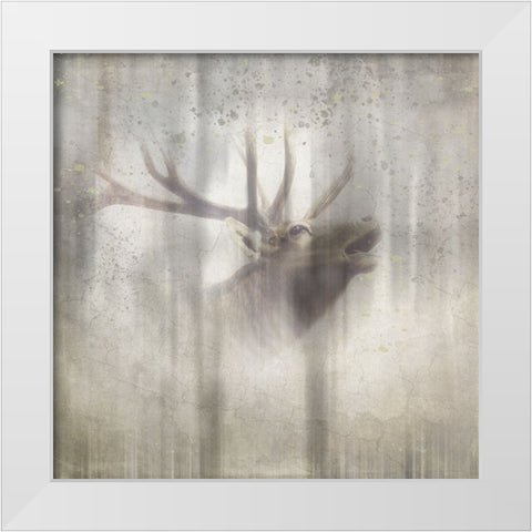Antique Wildlife Elk 2 White Modern Wood Framed Art Print by LightBoxJournal
