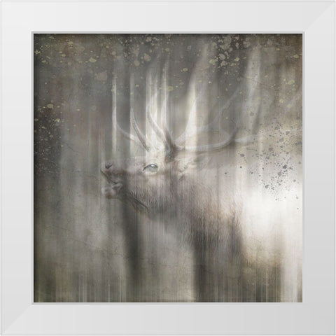 Antique Wildlife Elk White Modern Wood Framed Art Print by LightBoxJournal