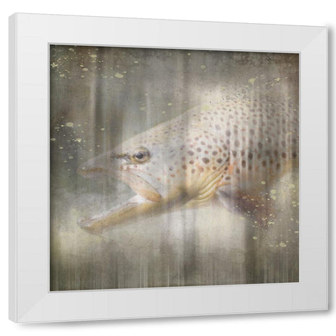 Antique Wildlife Brown Trout White Modern Wood Framed Art Print by LightBoxJournal