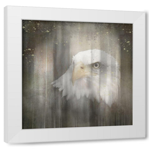 Antique Wildlife Eagle White Modern Wood Framed Art Print by LightBoxJournal
