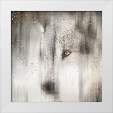 Antique Wildlife Wolf White Modern Wood Framed Art Print by LightBoxJournal