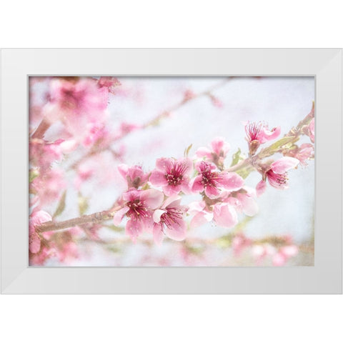 Cherry Pops 09 White Modern Wood Framed Art Print by LightBoxJournal