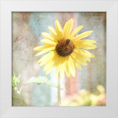 JunkGypsy 36 White Modern Wood Framed Art Print by LightBoxJournal