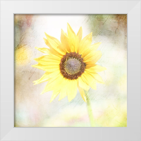 JunkGypsy 39 White Modern Wood Framed Art Print by LightBoxJournal