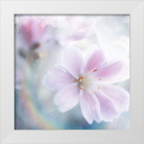 Mystical Gypsy Flower 01 White Modern Wood Framed Art Print by LightBoxJournal