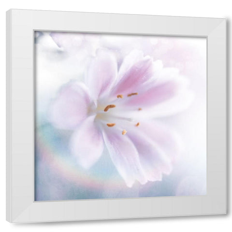 Mystical Gypsy Flower 02 White Modern Wood Framed Art Print by LightBoxJournal