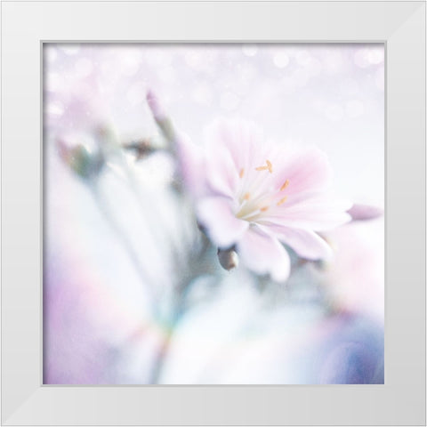 Mystical Gypsy Flower 03 White Modern Wood Framed Art Print by LightBoxJournal