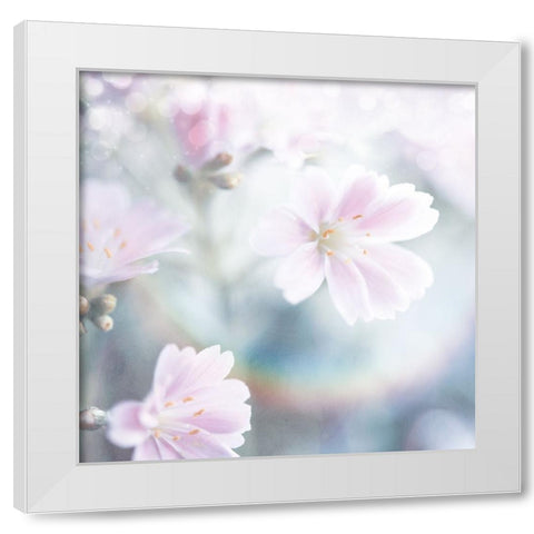 Mystical Gypsy Flower 04 White Modern Wood Framed Art Print by LightBoxJournal