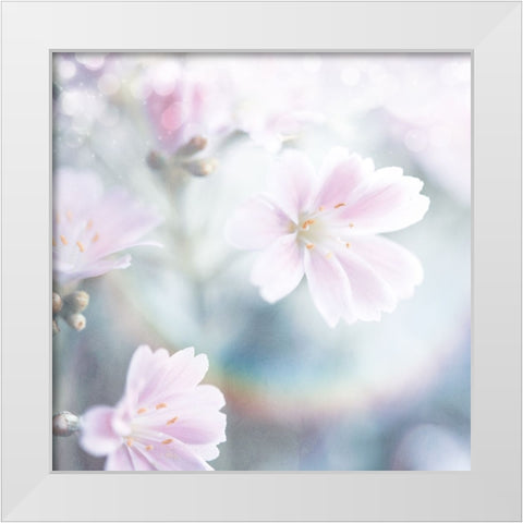 Mystical Gypsy Flower 04 White Modern Wood Framed Art Print by LightBoxJournal