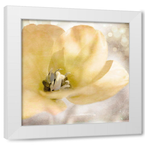 Yellow Tulip 01 White Modern Wood Framed Art Print by LightBoxJournal