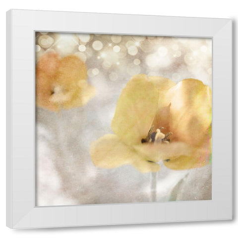 Yellow Tulip 02 White Modern Wood Framed Art Print by LightBoxJournal